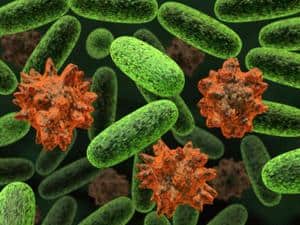 Hospitals Can Rapidly Identify Life-Threatening Bacteria