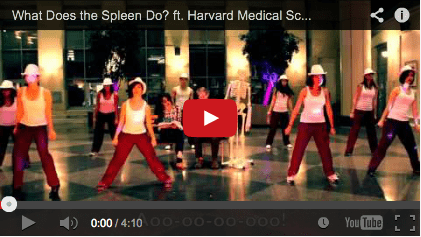 Harvard Med School Video Parody: What Does the Spleen Do?