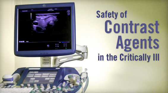 Safety of Contrast Agents in the Critically Ill
