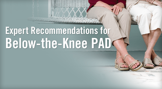 Expert Recommendations for Below-the-Knee PAD