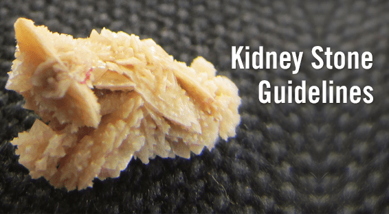 Kidney Stone Guidelines
