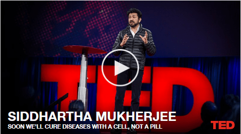 Curing Diseases with a Cell – Video