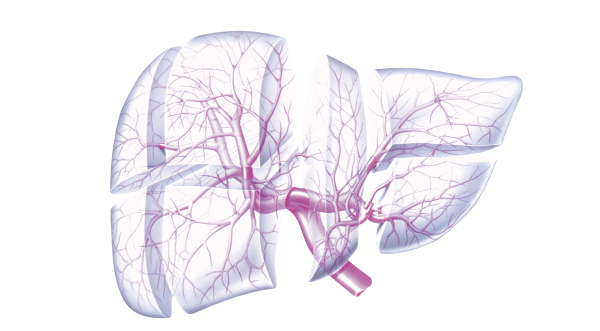 Antiviral therapies give hepatitis C cirrhosis patients similar life expectancy as general population