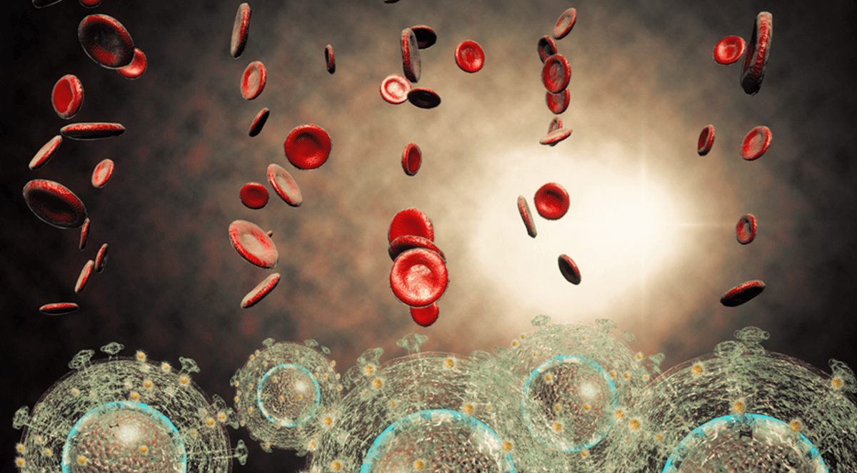 Researchers track HIV in real time as it infects, spreads in living tissue