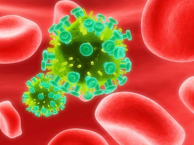 HIV Transmission Risk Small With Antiretroviral Compliance