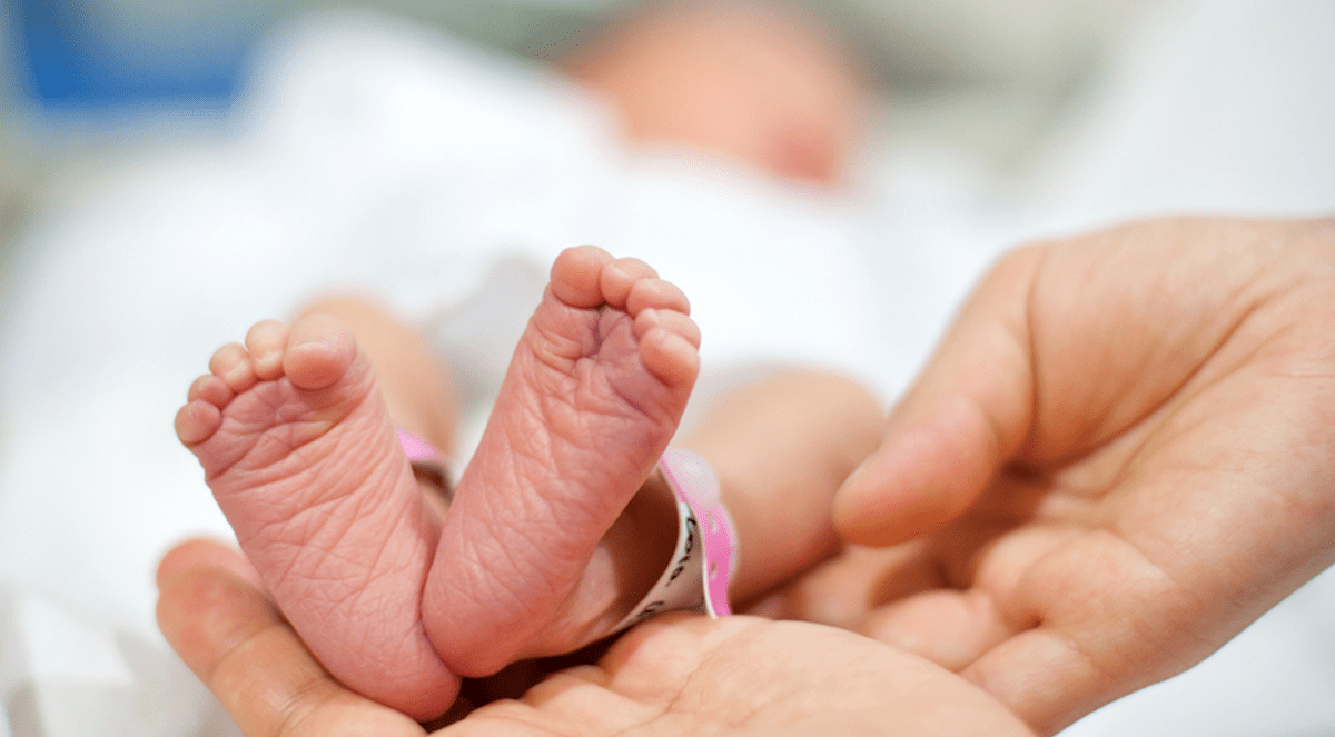 Trial of Early Preventive Care for Very Preterm Infants