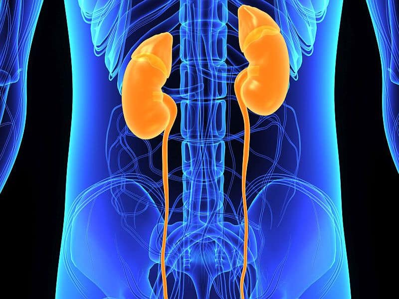 Intensive SBP Tx Cuts Kidney Damage Biomarkers in Incident CKD