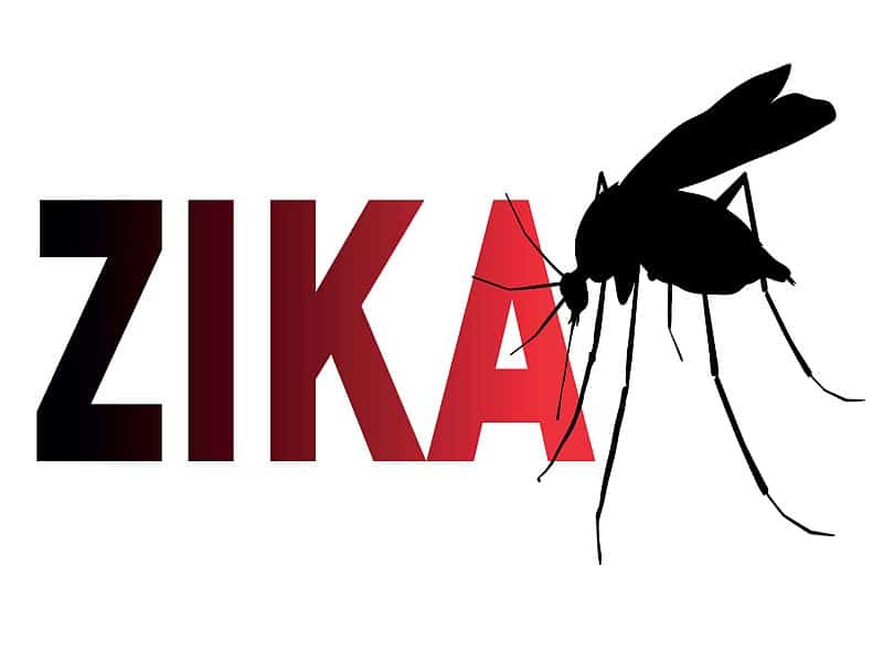 Fears grow that homegrown Zika virus may have reached US as second case investigated in Florida