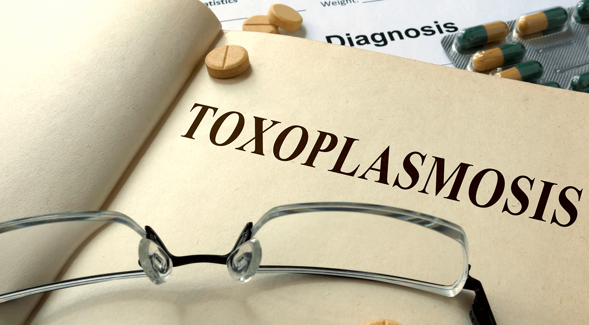 International team describes step-by-step progress in battling toxoplasmosis