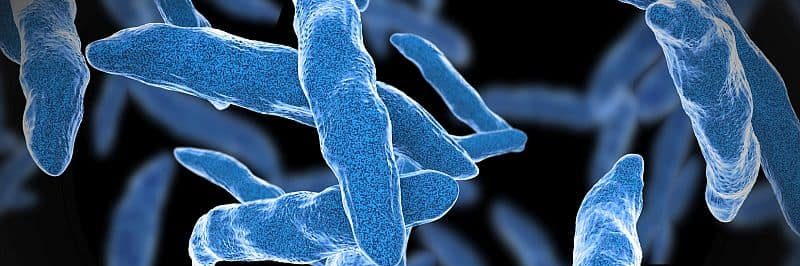 Resistance Genes Identified in Mycobacterium Tuberculosis
