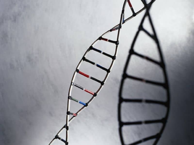 Newborn Genomic Sequencing Can Identify Disease Risk