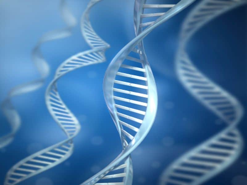 Next-Generation Sequencing May Improve Pediatric Epilepsy Tx