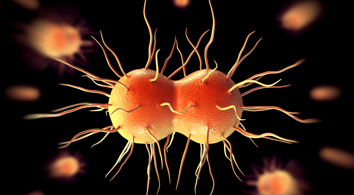Gonorrhoea resistance to cefixime declined, but resistance to another gold standard has increased