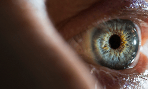 Digital Scan of the Eye Provides Accurate Picture of a Person’s General Health