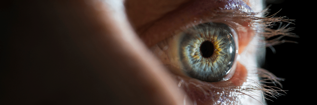 Digital Scan of the Eye Provides Accurate Picture of a Person’s General Health