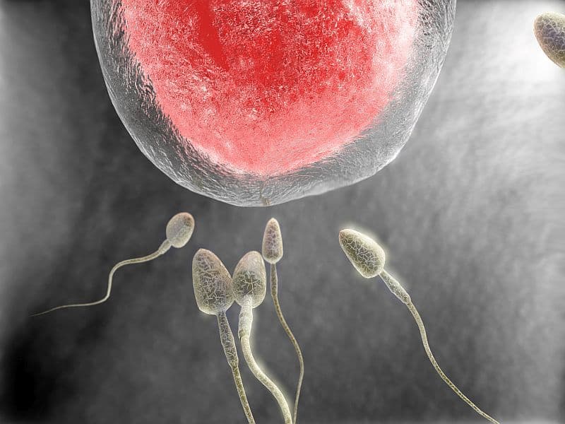 Conception by IVF May Increase Risk for Rare Childhood Cancer