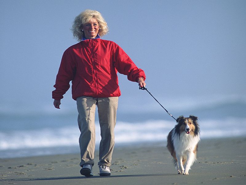 2004 to 2017 Saw Increase in Fractures for Elderly Dog Walkers