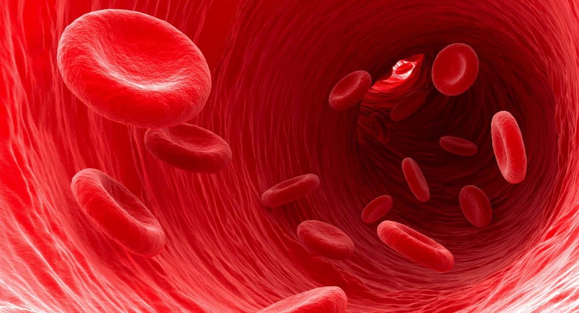 Researchers Discover Key to Regenerating Blood Vessels