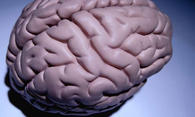 Ibudilast Appears to Slow Brain Atrophy Progression in MS