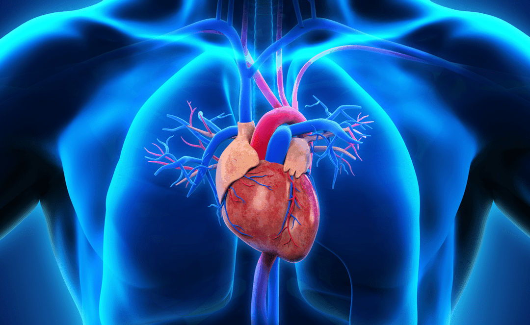 https://www.physiciansweekly.com/wp-content/uploads/2017/04/heart-cardiovascular-disease-healthy-stethoscope-medicine-medical2-1080x663.png
