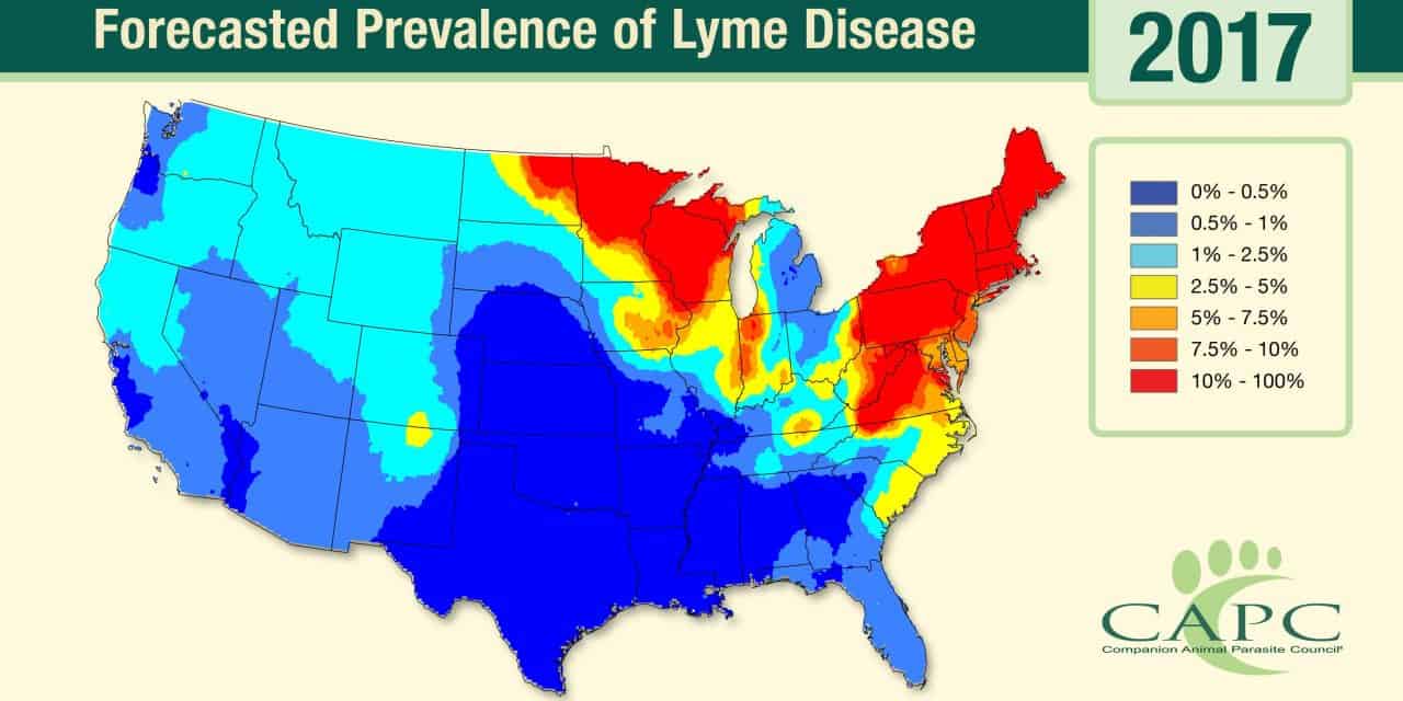 New Lyme Disease Map Outlines Where Ticks are on the Rise