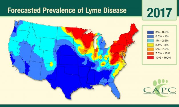 New Lyme Disease Map Outlines Where Ticks are on the Rise