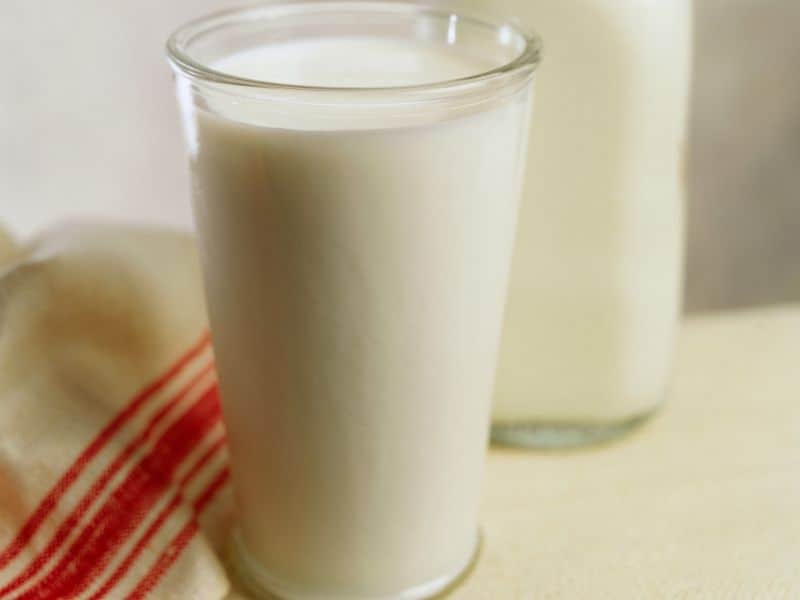 No Evidence for Milk Increasing Mucus Production From Lungs