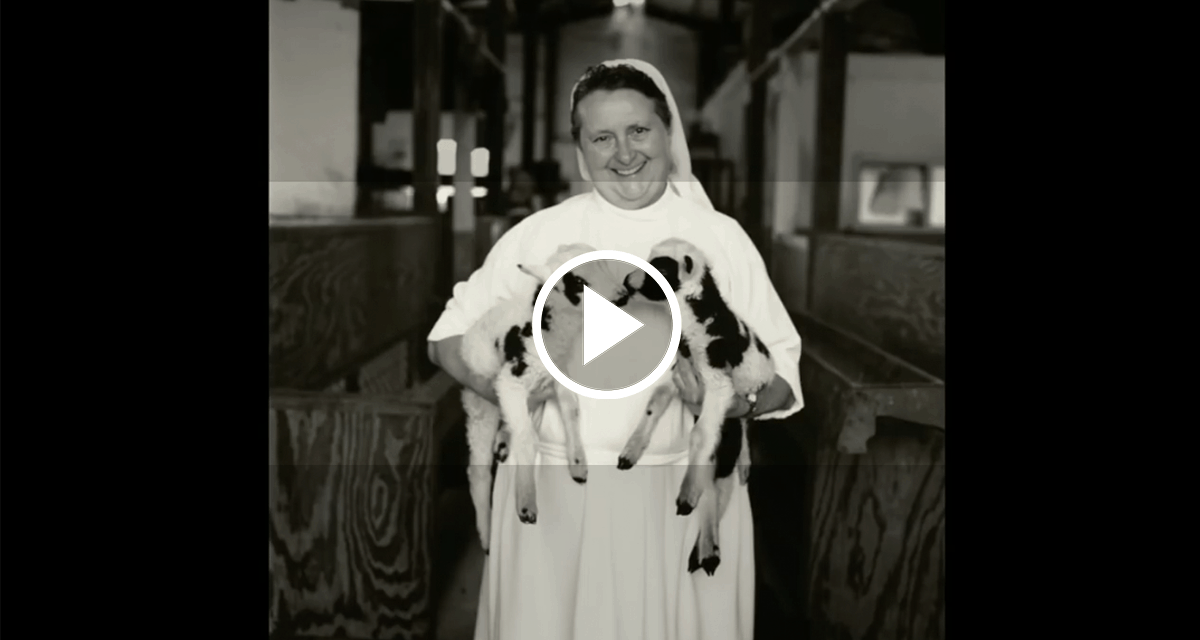 VIDEO: A Tribute to Nurses