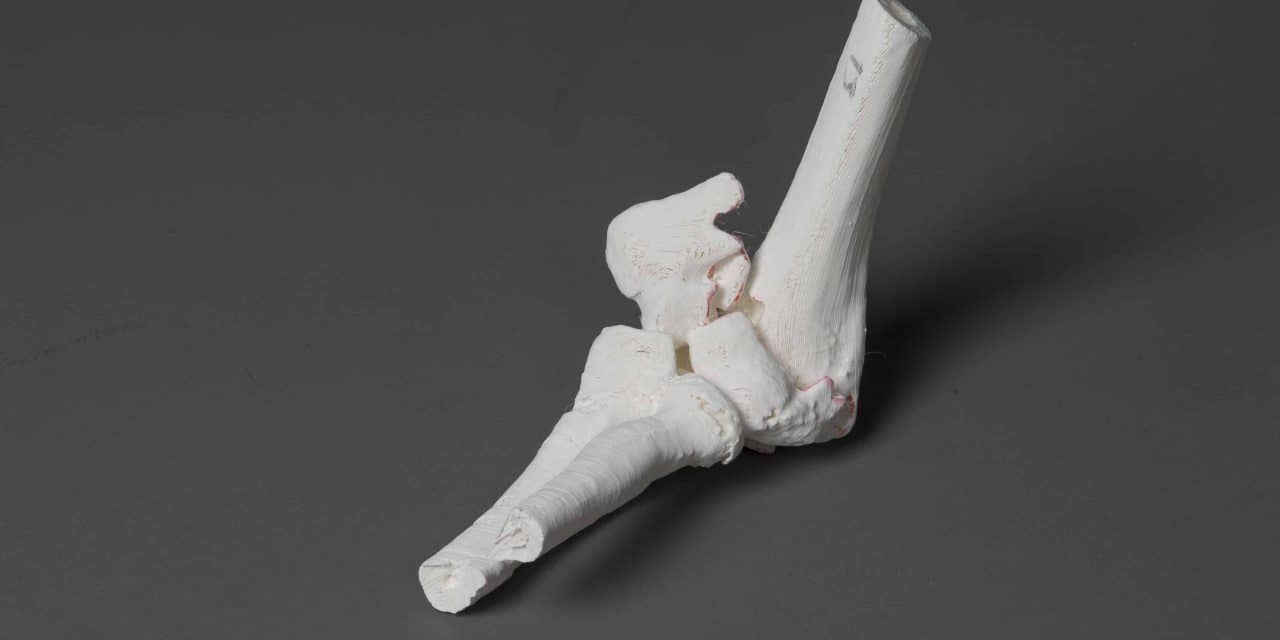 Introducing a New Blog on 3D Printing in Medicine