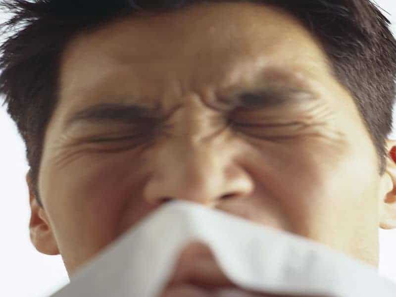 Odds of Hay Fever Up With Very Early, Late Spring Onset