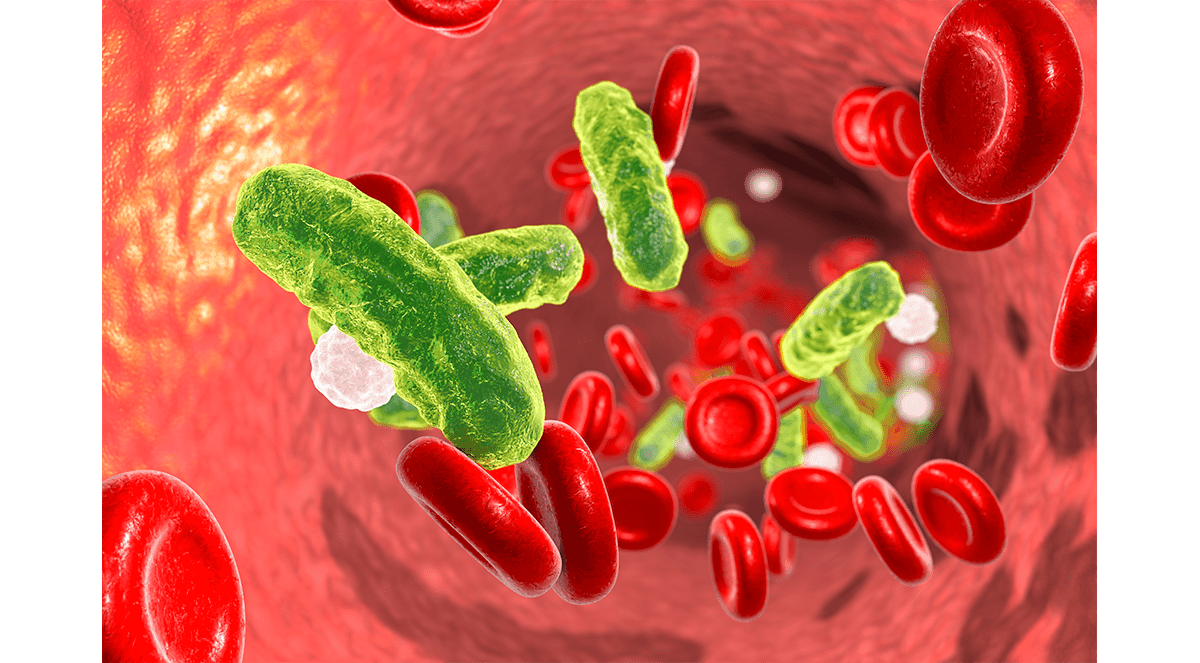 Exploring the Impact of Initial Misdiagnosis on Mortality in Patients with Bacteraemia