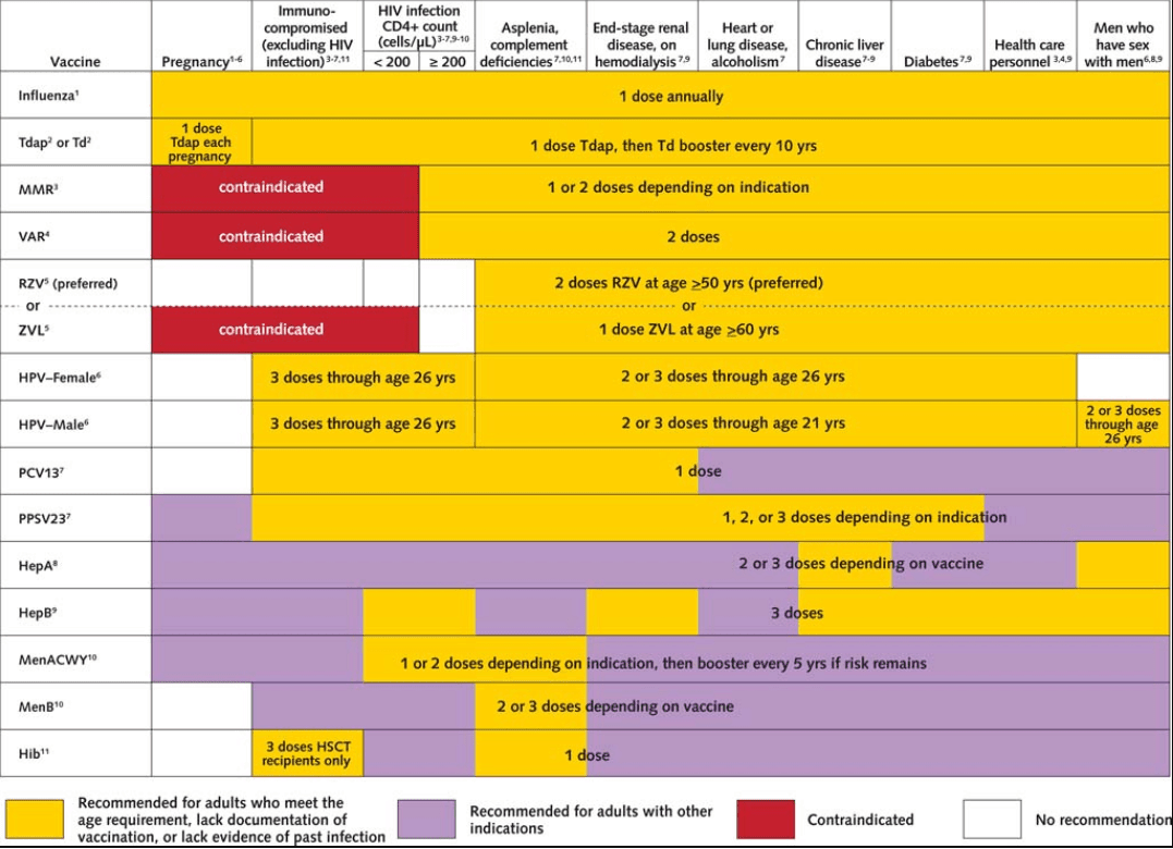 Pregnancy Immunization Chart