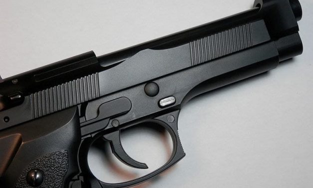 Gun Owners, Nonowners Support Strengthening U.S. Gun Laws