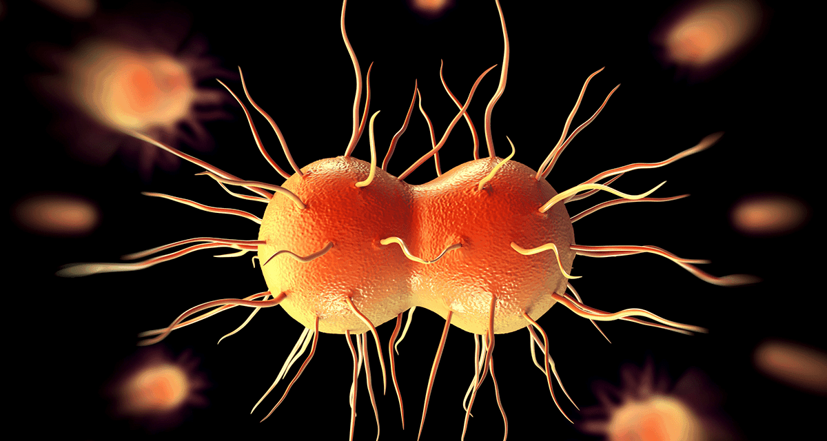 Losing Ground Against Gonorrhea – The Rising Antibiotic Resistance