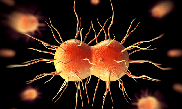 Lower Levels of Vaginal Tryptophan Associated With Natural Clearance of Chlamydia
