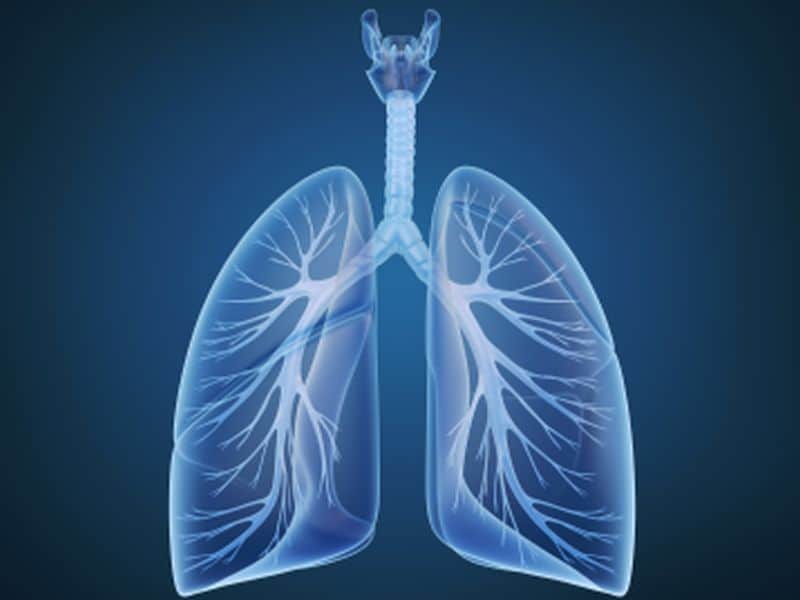 Slower Decline in Lung Function With Anthocyanin Intake