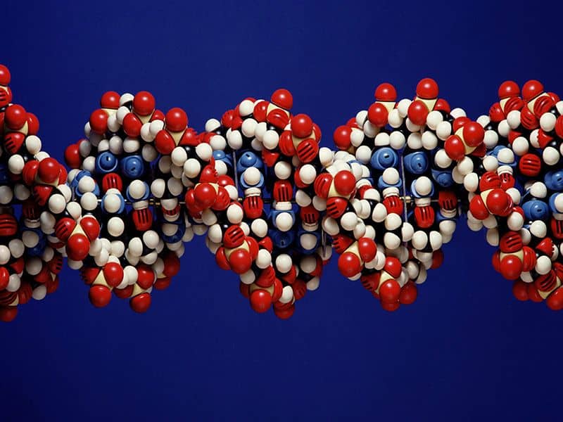 Genomic Medicine Will Help Shift Cardio Care to Proactive Approach