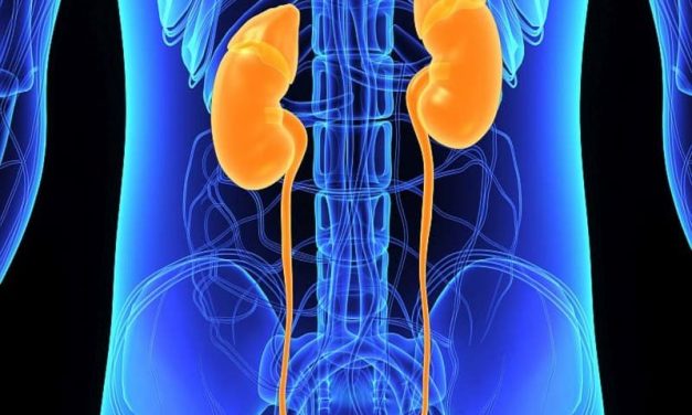 Acute Kidney Injury in Hospital Ups Risk of Later Heart Failure