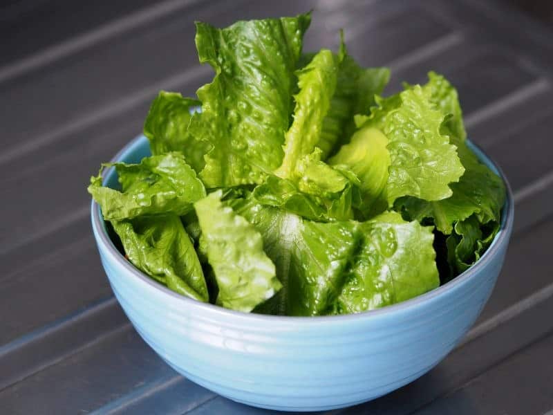 CDC Says <i>E. Coli</i> Outbreak Tied to Romaine Lettuce Is Over