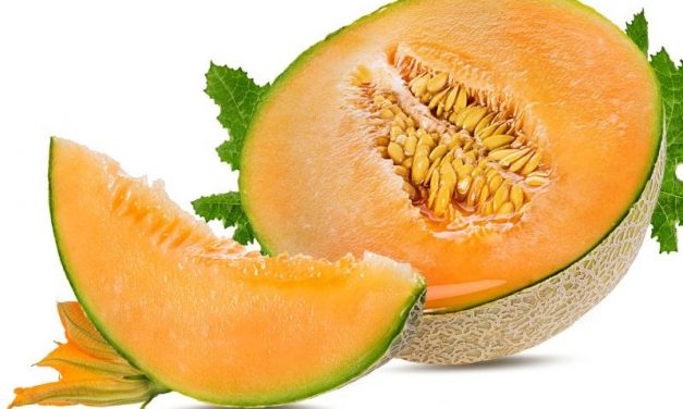 60 Sickened So Far in Salmonella-Tainted Melon Outbreak