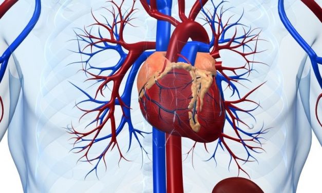 Elevated NT-proBNP Found to Up Cardiovascular Risk in T2DM