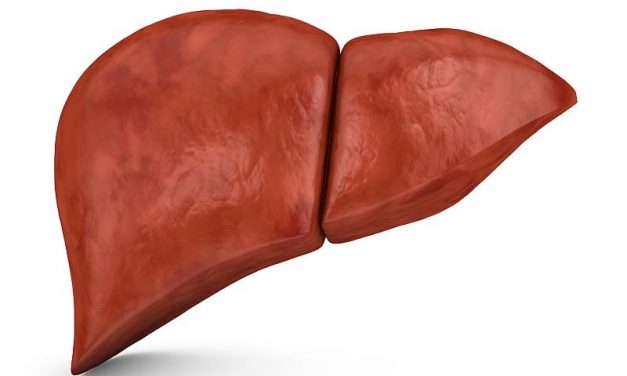 Fibrosis, Steatosis of the Liver Observed in Some Young Adults