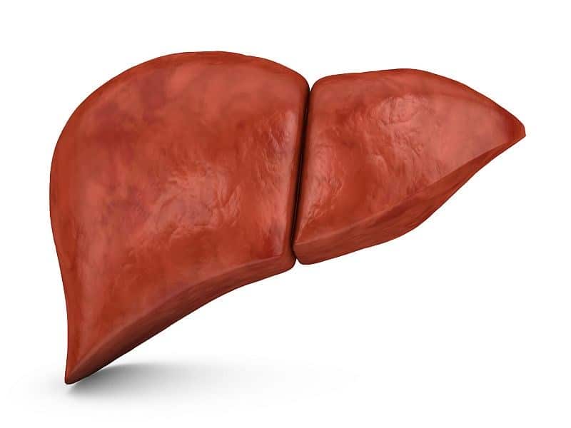 Frailty Assessment May Aid Liver Transplant Evaluation