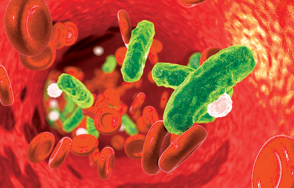 Analyzing the ACEI/ARB Receptor Blockers in Patients with Sepsis