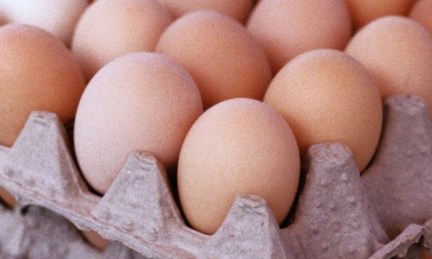 CDC: <i>Salmonella</i> Outbreak Linked to Gravel Ridge Farms Eggs