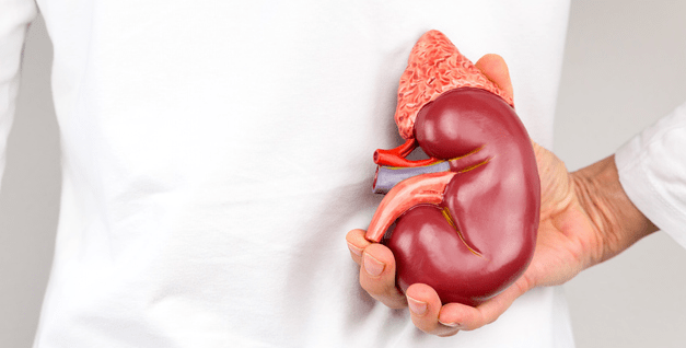 An Early Warning Sign for Chronic Kidney Disease