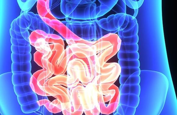 New Guidelines Introduced for Inflammatory Bowel Disease in Pregnancy