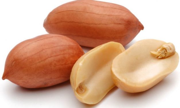 A Pediatric CDS Guide to Peanut Allergy