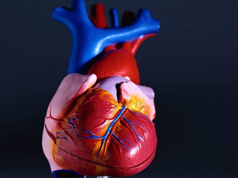 Severe Adverse Cardiovascular Events Associated With Ibrutinib