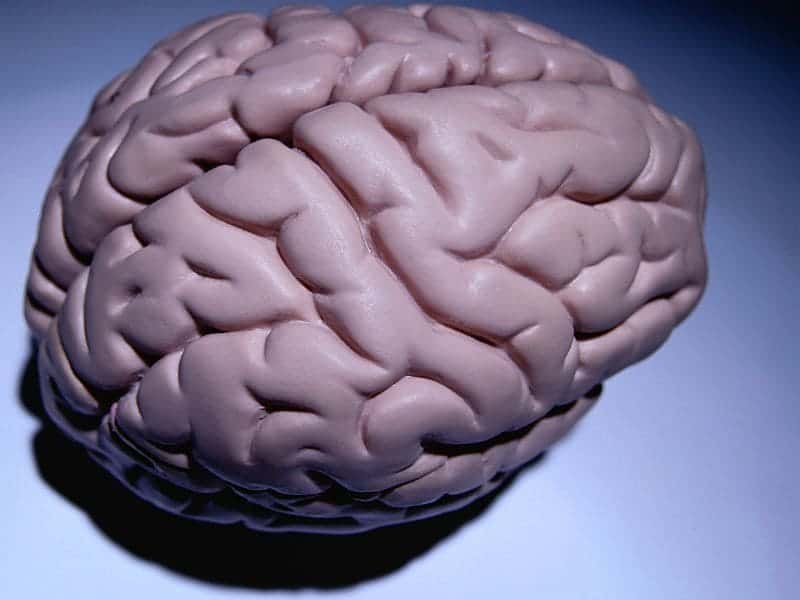 EEG May Detect Brain Activation in Some Unresponsive Patients